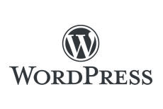 WordPress-logo-dataspot